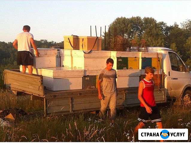 Мед с частных пасек в г.Челябинск Челябинск - изображение 1