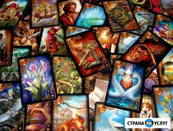 Обучение Санкт-Петербург