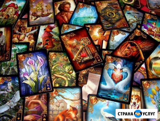 Обучение Санкт-Петербург - изображение 1