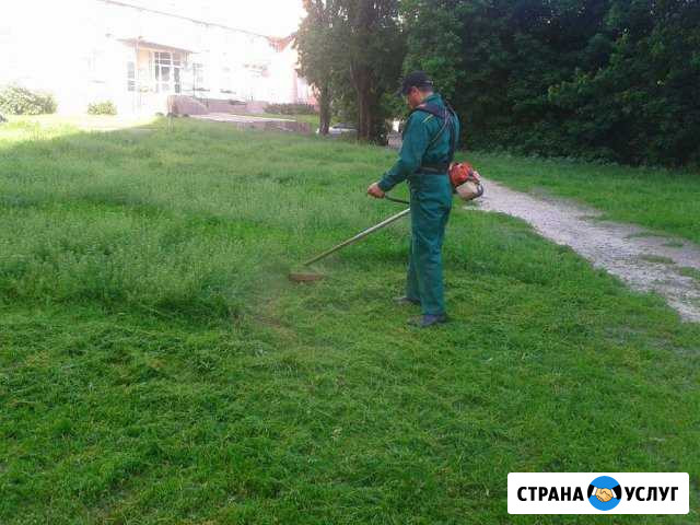 Скос травы триммером Бузулук - изображение 1