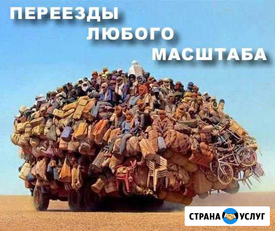 Переезды Грузчики Грузоперевозки Уфа - изображение 1