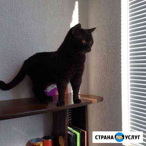 Вязка Анапа