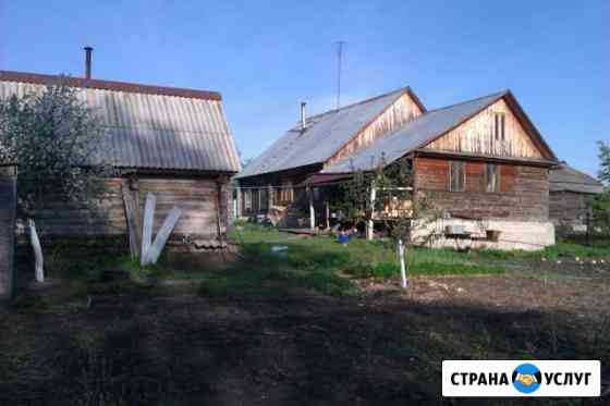 Козы дойные Тольятти
