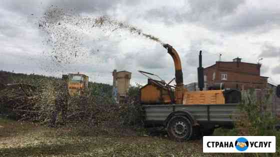 Аренда измельчителя веток. Ветка дробилка Москва