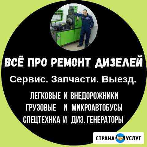 Ремонт тнвд, ремонт форсунок. Прайс в объявлении Санкт-Петербург