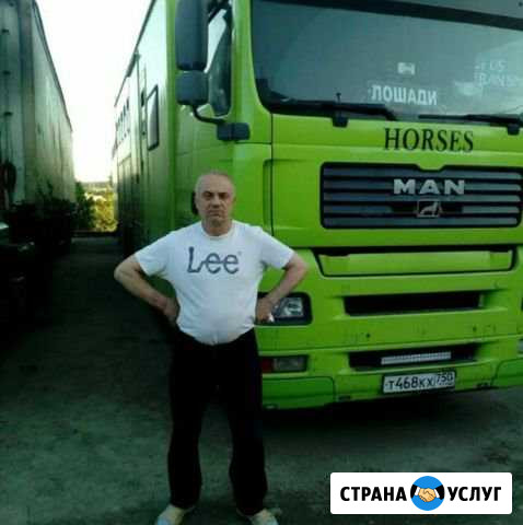 Моторист Брянск - изображение 1