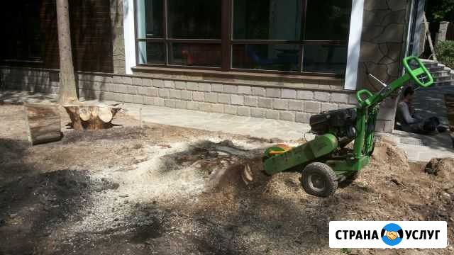 Корчевка пней и удаление деревьев Москва - изображение 1