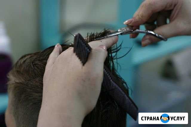 Профессиональные курсы Краснодар - изображение 1