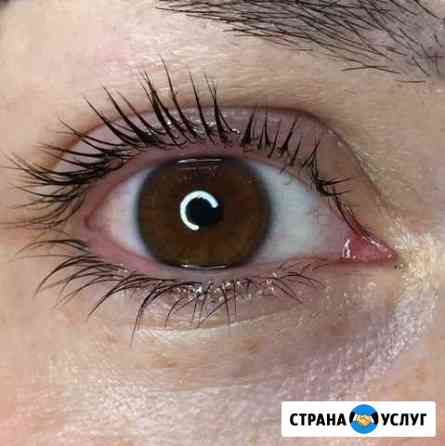 Ламинирование ресниц Тюмень
