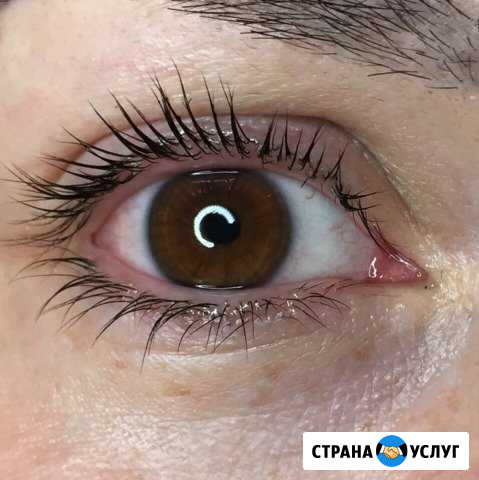 Ламинирование ресниц Тюмень - изображение 1