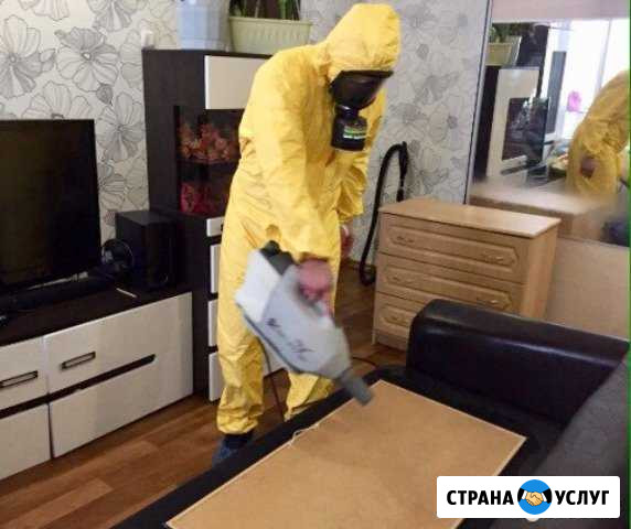 Клопы,Тараканы,Клещи,Обработка участков,Клининг Астрахань - изображение 1