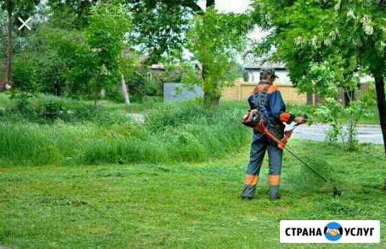 Покос травы Курганинск