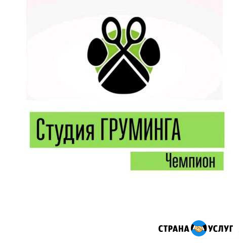Студия груминга Комсомольск-на-Амуре - изображение 1