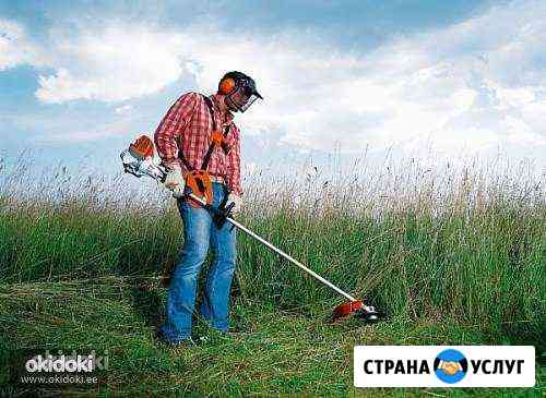 Покос травы, бурьяна, камыша, уборка Волгоград