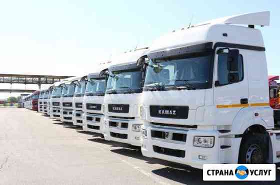 Отключение мочевины на Камаз/Мерседес Новосибирск