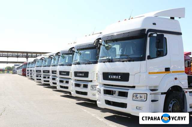 Отключение мочевины на Камаз/Мерседес Новосибирск - изображение 1