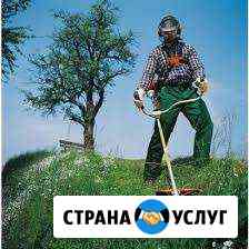 Покос травы. Район 2-го Поселка, Погромного, лпк Волжский Волгоградской области