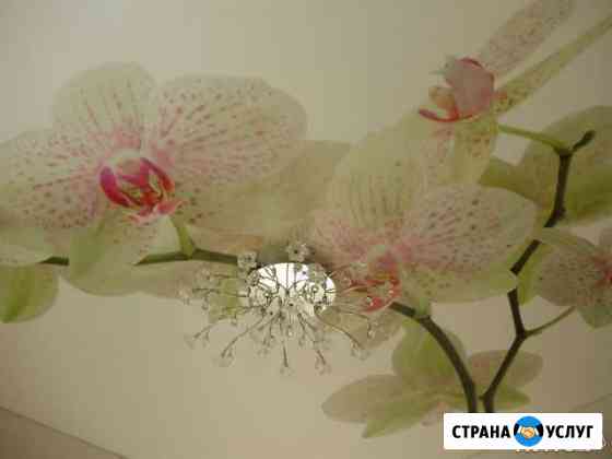 Натяжные потолки Славгород