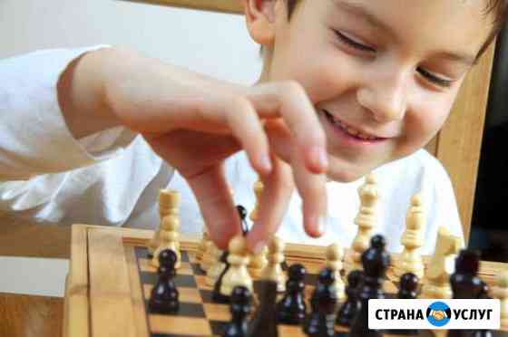 Шахматы для детей от 5 лет до 12 лет Владимир