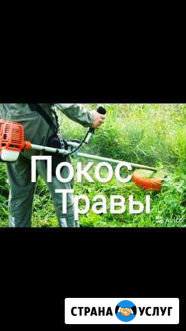 Покос травы Ольгинская - изображение 1