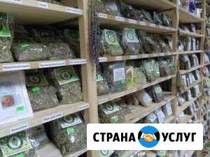 Доменное имя травы-лекарственные. РФ Мостовской - изображение 1