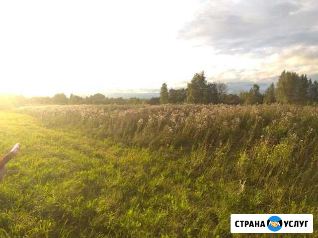 Покос участка Малино - изображение 1