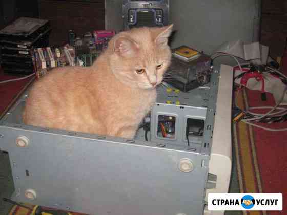Неотложная Компьютерная Помощь Королев