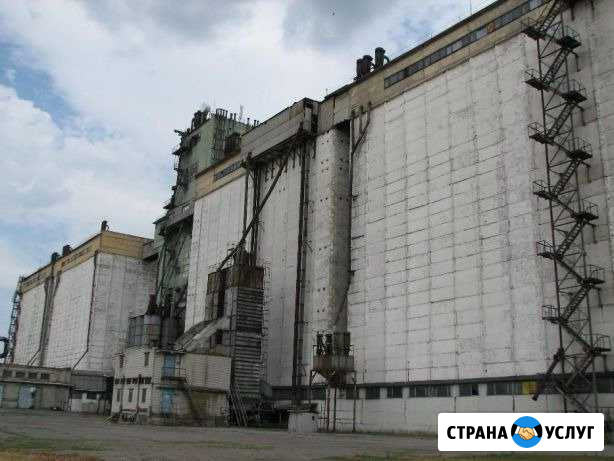 Фумигация Энгельс - изображение 1