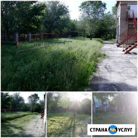 Покос травы Сызрань - изображение 1
