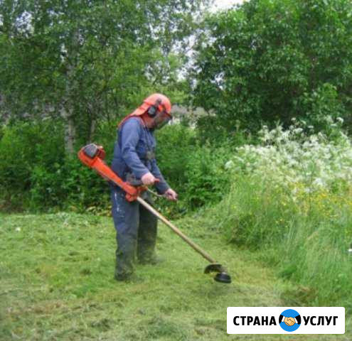 Покос травы Самарское - изображение 1
