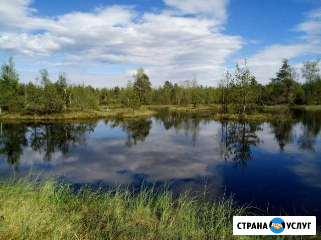 Дом с баней в аренду на сутки Рахья - изображение 1