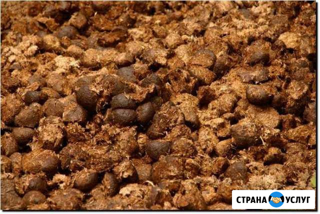 Конский навоз и перегной, в мешках Новотитаровская - изображение 1