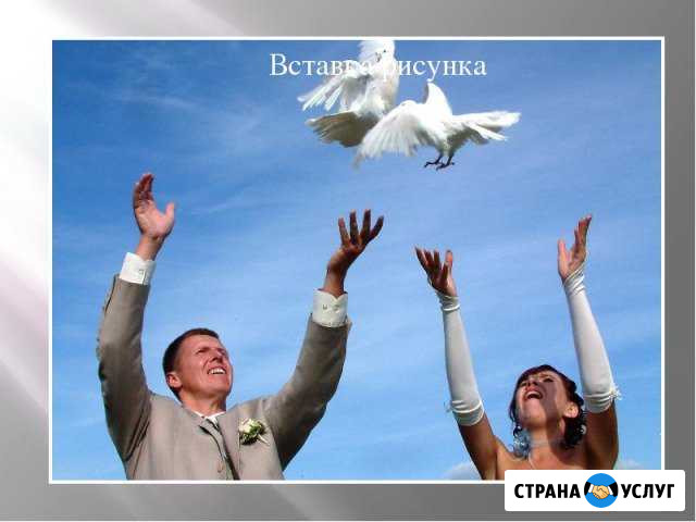 Свадебные Голуби Унеча - изображение 1