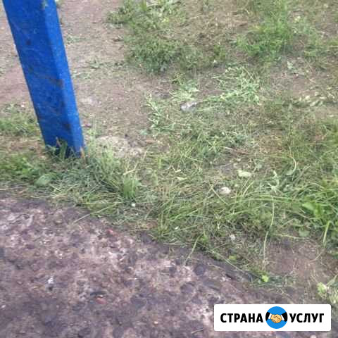 Скошу траву Абакан - изображение 1