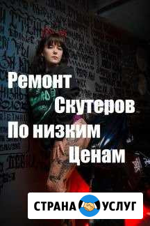 Ремонт скутеров (stels, honda, yamaha, suzuki ) Новобессергеневка - изображение 1