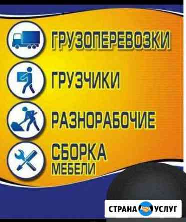 Грузчики Сборка мебели сантехники копка траншей Димитровград