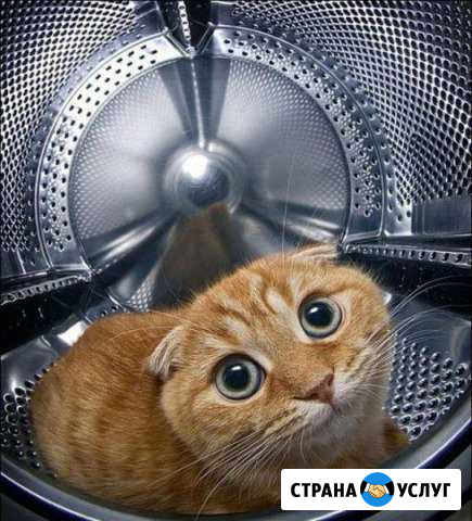 Ремонт импортных стиральных машин в короткие сроки Новосибирск - изображение 1