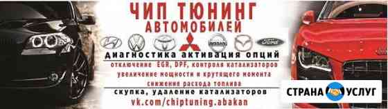 Чип-тюнинг, диагностика автомобилей Абакан