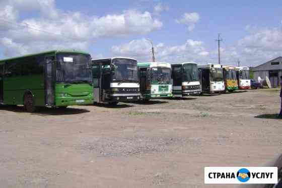 Пассажирские перевозки автобусом. Вахта Уфа