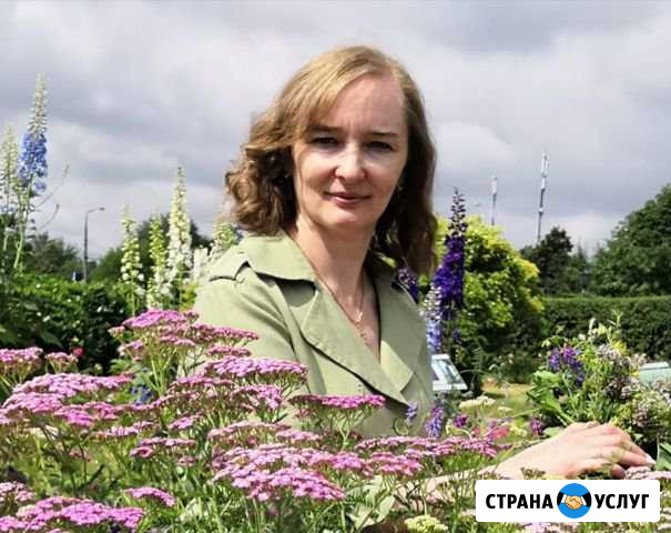 Репетитор, преподаватель английского языка Москва - изображение 1