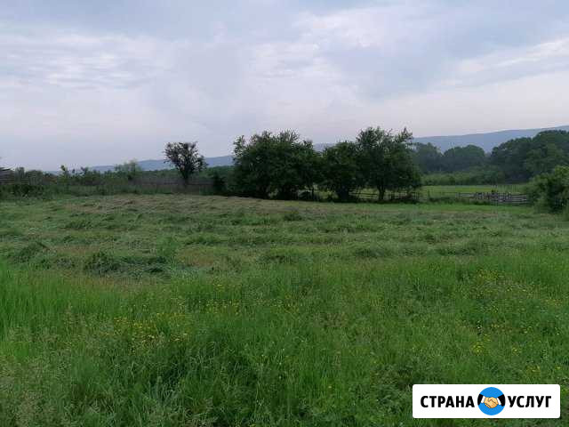Покос травы Апшеронск - изображение 1