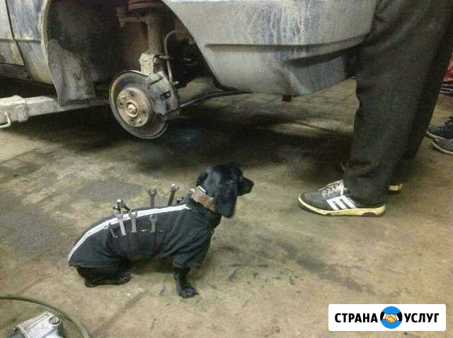 Автопокраска и кузовной ремонт Калининград - изображение 1
