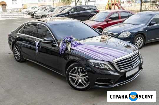 Прокат мерседес 222 на свадьбу Магас - изображение 1