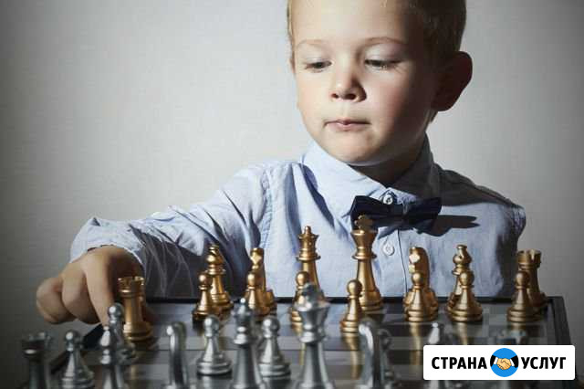 Уроки шахмат Оренбург - изображение 1