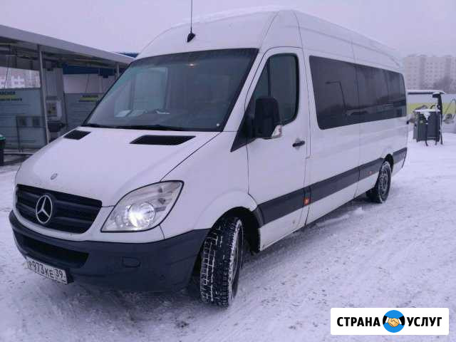 Пассажирские перевозки Калининград - изображение 1