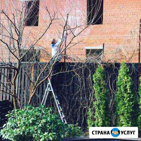 Дачный сервис, Удаление и обрезка деревьев Мытищи