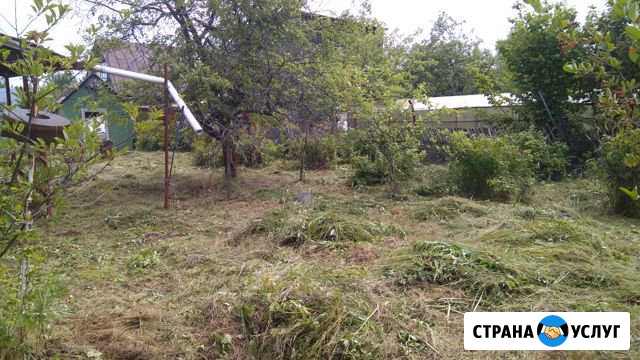 Покос, вывоз травы Воровского - изображение 1
