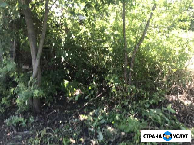 Бригада*Тимуровцы* Шацк - изображение 1