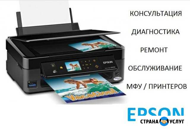 Ремонт принтеров и мфу фирмы Epson Лобня - изображение 1