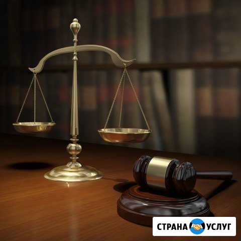 Адвокат Виттенберг Д. А Ноябрьск - изображение 1